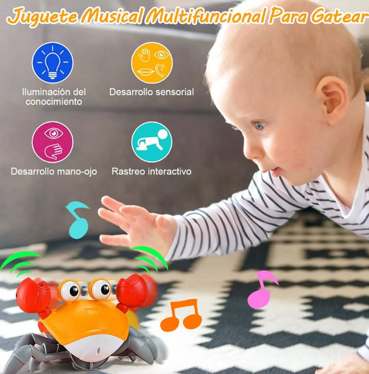 CANGREJO CAMINADOR MONTESSORI - 🦀 Interactivo para Gatear