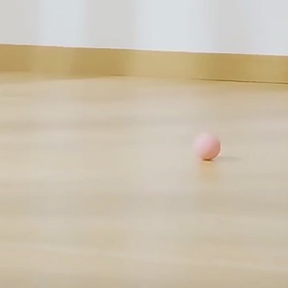 JUGUETE PELOTA INTERACTIVA PARA GATOS COLOR ROSA