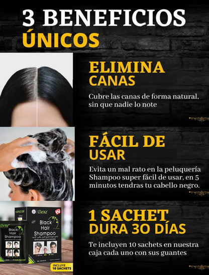 SHAMPOO CUBRE CANAS TINTE NEGRO