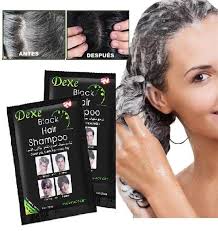 SHAMPOO CUBRE CANAS TINTE NEGRO